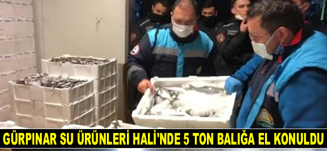 Gürpınar Su Ürünleri Hali'nde 5 ton balığa el konuldu