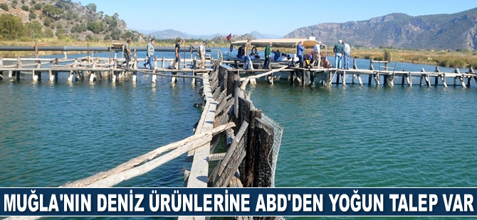 Muğla'nın deniz ürünlerine Avrupa ve ABD'den yoğun talep var
