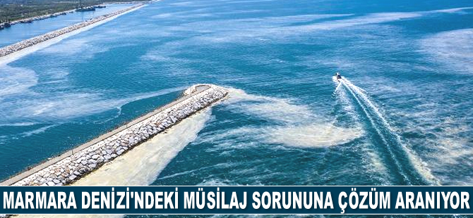 Müsilaj sorununa çözüm aranıyor