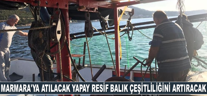 Marmara'ya atılacak yapay resif balık çeşitliliğini arttıracak