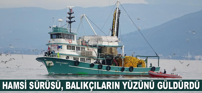 Hamsi sürüsü, balıkçılarını yüzünü güldürdü