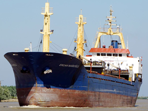 Ercan Naiboğlu isimli kuru yük gemisi, ihale ile satışa çıkarıldı