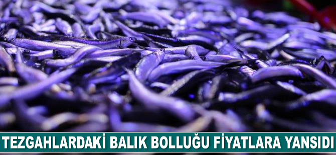 Tezgahlardaki balık bolluğu fiyatlara yansıdı