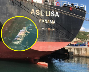 İzmit Körfezi'ni kirleten ASL LISA isimli gemiye 3 milyon lira para cezası kesildi