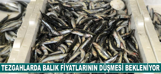 Havaların soğumasıyla balık fiyatlarının düşmesi bekleniyor
