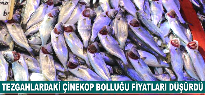 Tezgahlardaki çinekop bolluğu fiyatları düşürdü