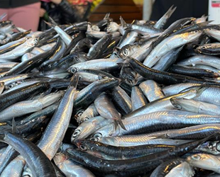 Fiyatı düşen hamsi, vatandaşların yüzünü güldürdü