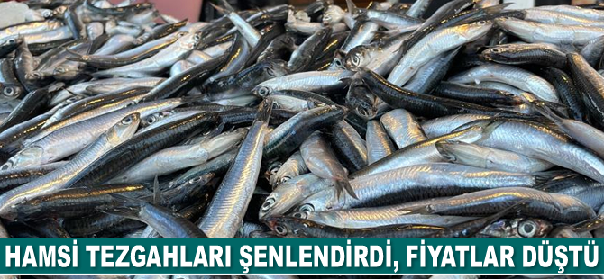 Fiyatı düşen hamsi, vatandaşların yüzünü güldürdü