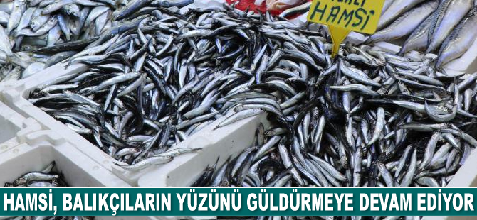 Hamsi, balıkçıların yüzünü güldürmeye devam ediyor