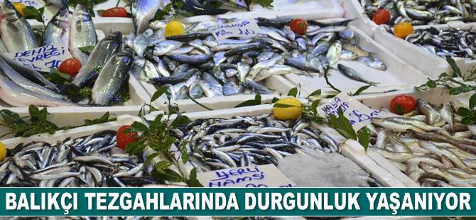 Balıkçı tezgahlarında durgunluk yaşanıyor
