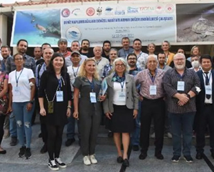 Demre'de 'Deniz Kaplumbağaları Çalıştayı’ düzenlendi