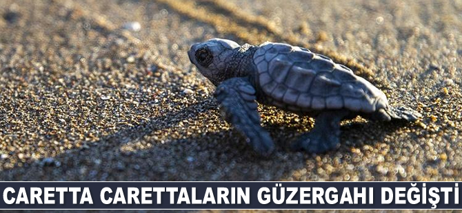 Caretta carettaların güzergahı değişti