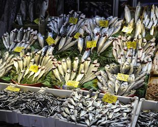 Lüfer ve hamside fiyatlar düşüyor