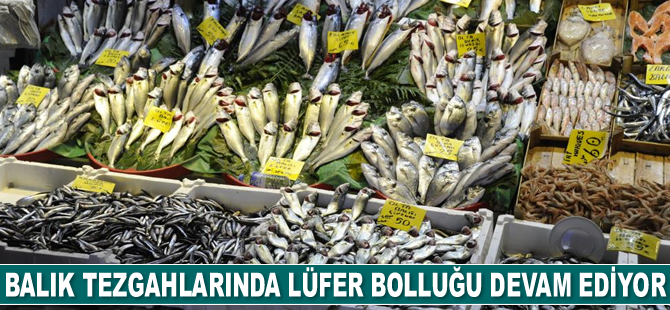 Lüfer ve hamside fiyatlar düşüyor