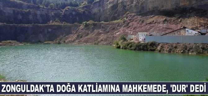 Zonguldak'ta doğa katliamına mahkeme, ‘Dur’ dedi