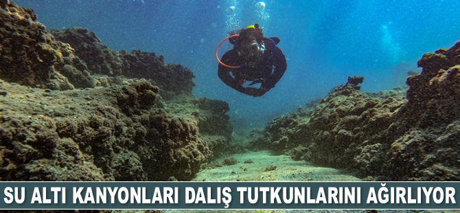 Mersin kıyılarındaki su altı kanyonları dalış tutkunlarını ağırlıyor