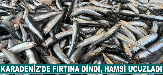 Karadeniz'de fırtına dindi, hamsi ucuzladı
