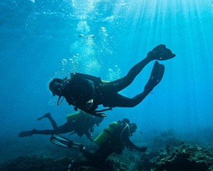 Su altı kanyonları, dalış tutkunlarını ağırlıyor