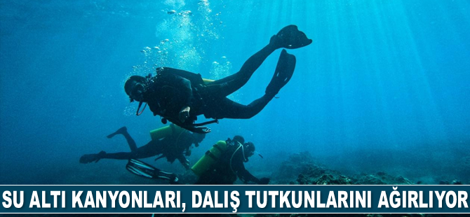 Su altı kanyonları, dalış tutkunlarını ağırlıyor
