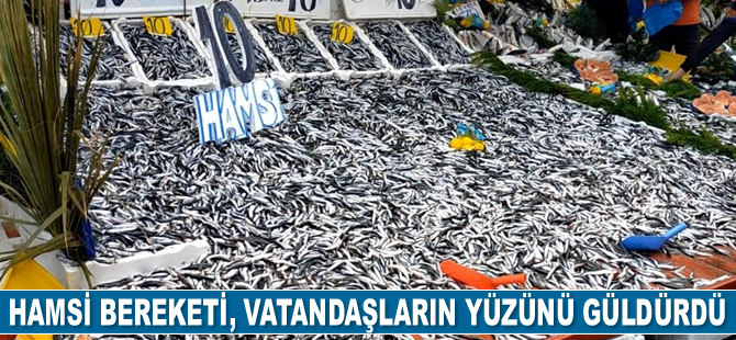Hamsi bereketi, vatandaşların yüzünü güldürdü