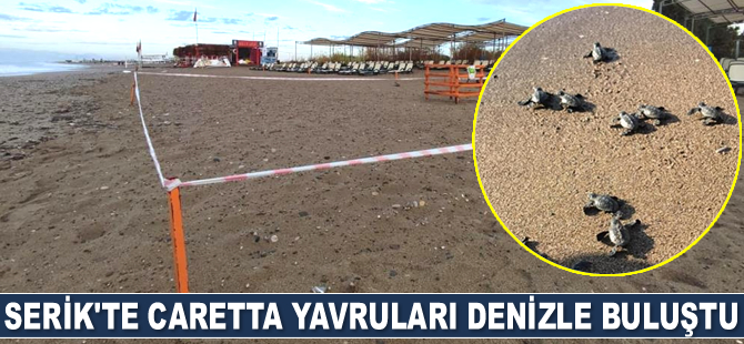 Serik’te caretta yavruları denizle buluştu
