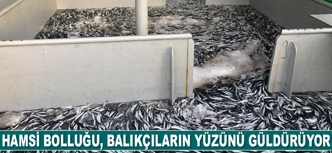 Karadeniz’de hamsi bolluğu, balıkçıların yüzünü güldürüyor