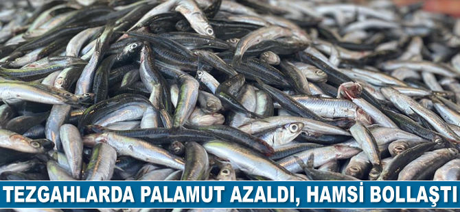 Tezgahlarda palamut azaldı, hamsi bollaştı