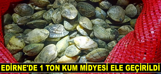 Edirne'de 1 ton kum midyesi ele geçirildi