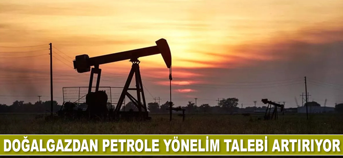 IEA: Doğalgazdan petrole yönelim talebi artırıyor