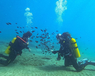 Mersin sahilleri yılın 12 ayı dalış tutkunlarının uğrak yeri oluyor