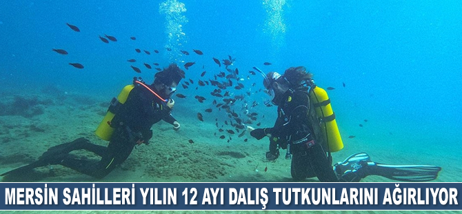 Mersin sahilleri yılın 12 ayı dalış tutkunlarının uğrak yeri oluyor