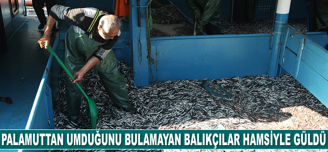Palamuttan umduğunu bulamayan balıkçılar hamsiyle güldü