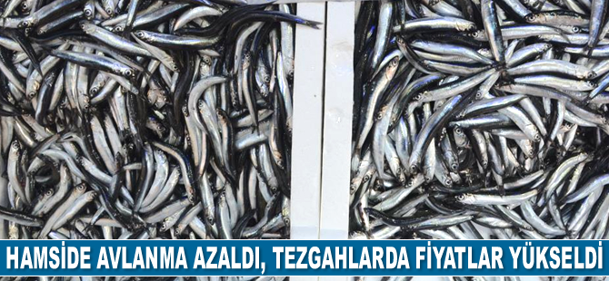 Hamside avlanma azaldı, tezgahlarda fiyatlar yükseldi