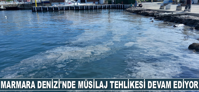 Marmara Denizi'nde müsilaj tehlikesi devam ediyor