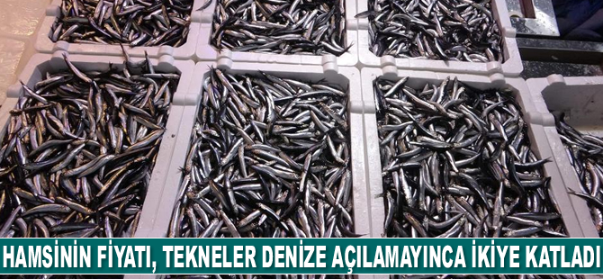 Hamsinin fiyatı, tekneler denize açılamayınca ikiye katladı