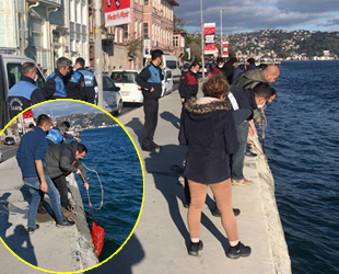 İstanbul'da kaçak avlanılan 2.5 ton midye ele geçirildi