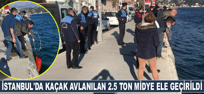 İstanbul'da kaçak avlanılan 2.5 ton midye ele geçirildi