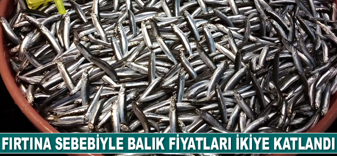 Fırtına sebebiyle balık fiyatları ikiye katlandı