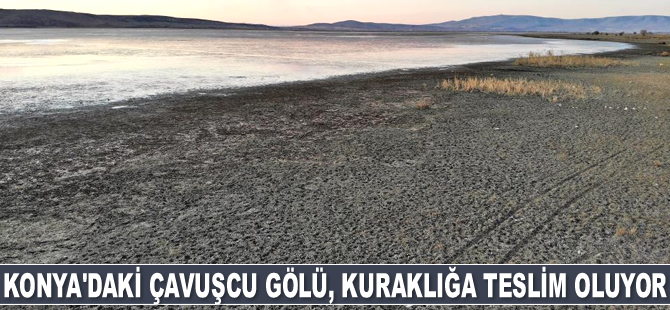 Çavuşcu Gölü kuraklığa teslim oluyor