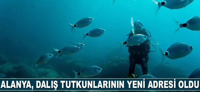 Alanya, dalış tutkunlarının adresi oldu