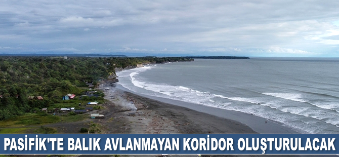 4 Latin Amerika ülkesi, Pasifik’te balık avlanmayan koridor oluşturacak