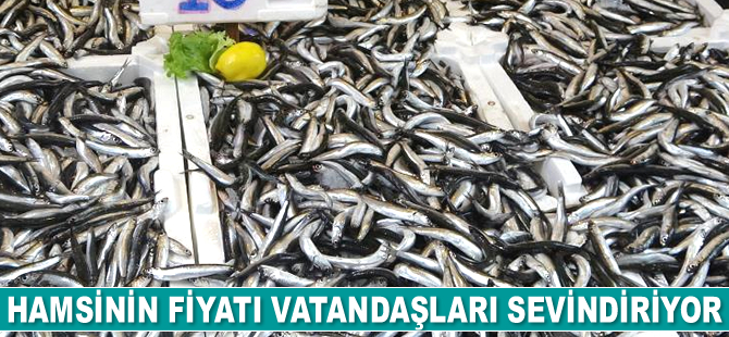 Tezgahlardaki hamsinin fiyatı vatandaşları sevindiriyor
