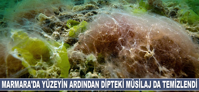 Marmara Denizi'nde yüzeyin ardından dipteki müsilaj da temizlendi