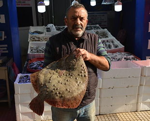Kalkan balığının fiyatı, altınla yarışıyor