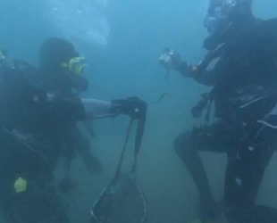 İstanbul'da kaçak avlanan 2 ton midye denizden çıkarıldı