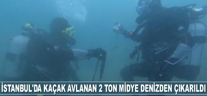 İstanbul'da kaçak avlanan 2 ton midye denizden çıkarıldı