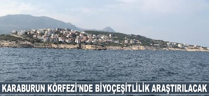 Karaburun Körfezi'nde biyoçeşitlilik araştırılacak