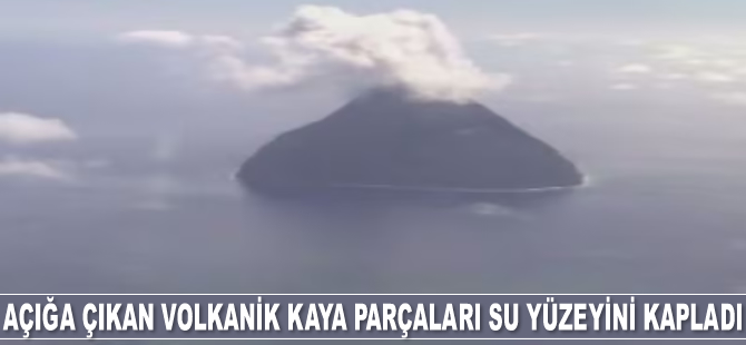 Japonya’da patlayan su altı volkanı deniz yaşamını tehdit ediyor