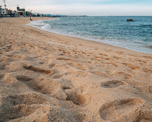 Güney Kore’de plajlar yoğun inşaat ve küresel ısınma nedeniyle yok oluyor