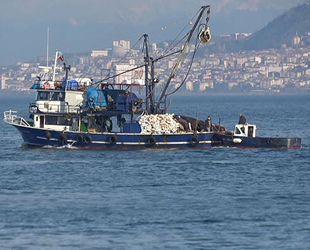 Karadeniz'de balık stokları azalıyor